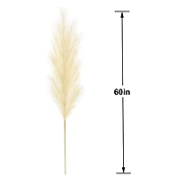 5ft. Cream Pampas Grass Stem by Ashland®
