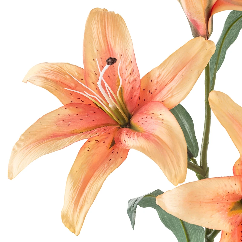 Casablanca Lily Stem by Ashland