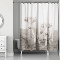 Whitewashed Cow Photograph 71" x 74" Shower Curtain