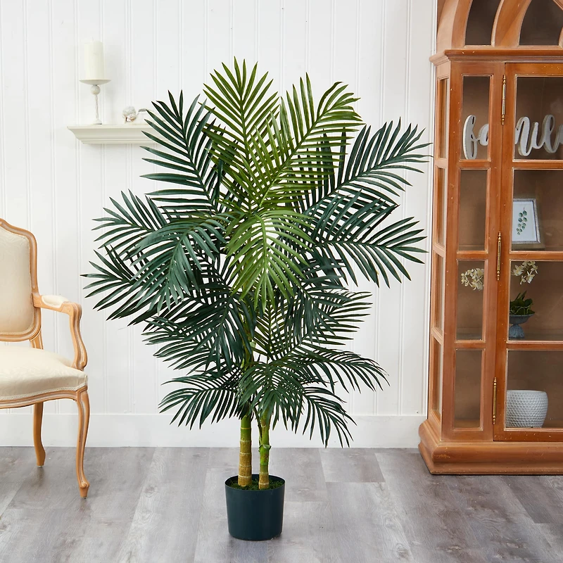 5ft. Potted Golden Cane Palm Tree