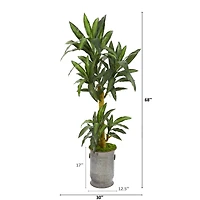 5.5ft. Yucca Plant in Copper Trimmed Metal Planter