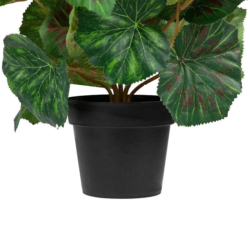 11" Potted Silk Begonia Floral Arrangement
