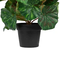 11" Potted Silk Begonia Floral Arrangement