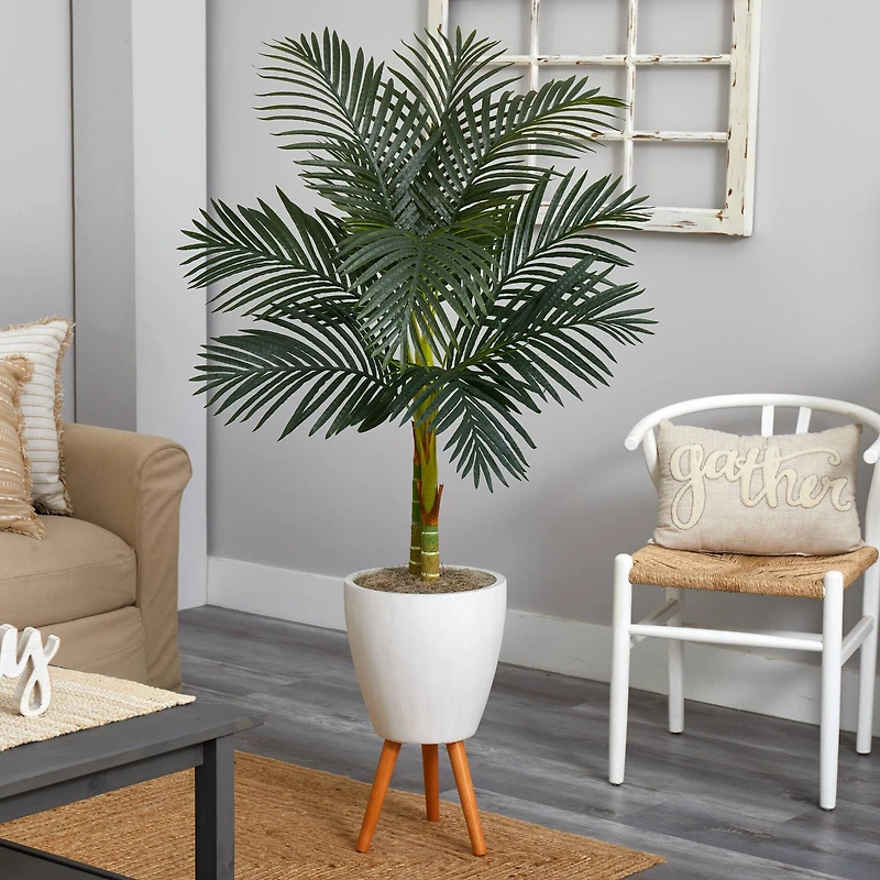 6.5ft. Golden Cane Palm Tree in White Planter with Stand