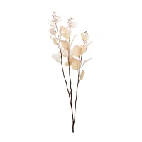38" Seeded Eucalyptus Stems, 6ct.