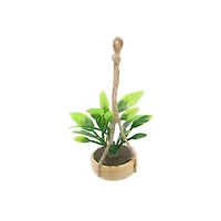 Mini Hanging Plant by Make Market®