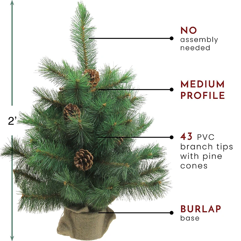 2ft. Unlit Royal Oregon Pine Artificial Christmas Tree in Burlap Base