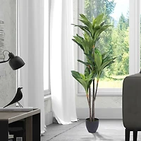 5ft. Potted Artificial Dracaena Tree