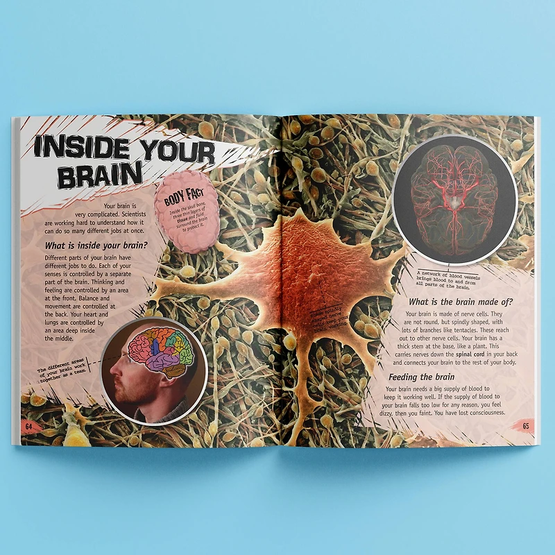 Incredible But True: The Human Body