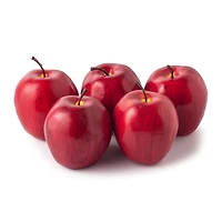 8 Packs: 5 ct. (40 total) Red Delicious Apples by Ashland®