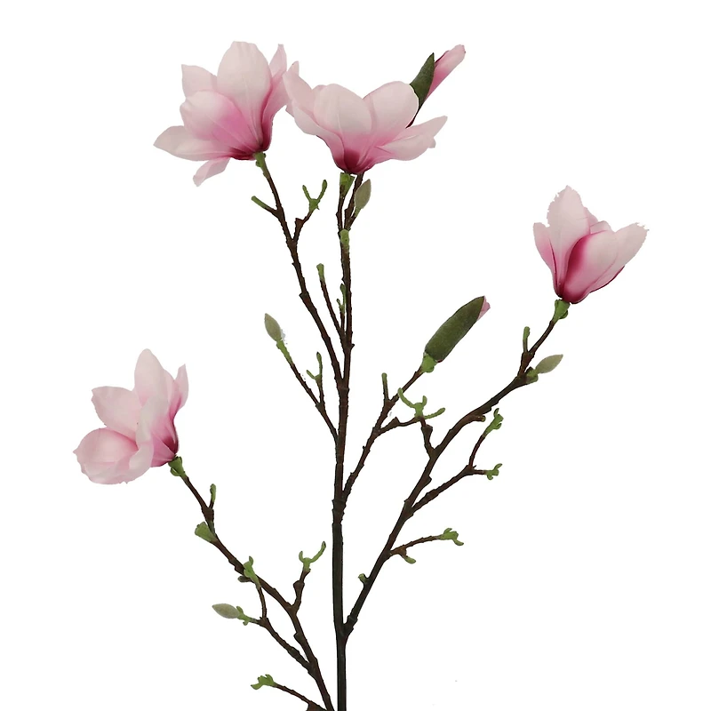 40" Magnolia Oversized Stem by Ashland