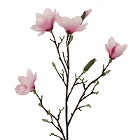 40" Magnolia Oversized Stem by Ashland