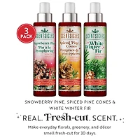 Scentsicles Scent Mister White Winter Fir, Snowberry Pine, Spiced Pine Cones, 3 pack