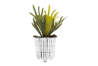 Hello Honey® 5" White & Black Terra Cotta Footed Planter