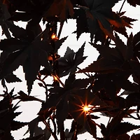 4ft. Pre-Lit Artificial Halloween Black Maple Tree with 180 Orange & Purple LED Lights