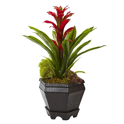 16.5" Bromeliad in Black Hexagon Planter