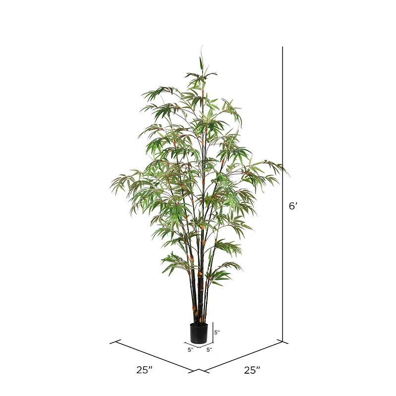 6ft. Potted Black Japanese Bamboo Tree