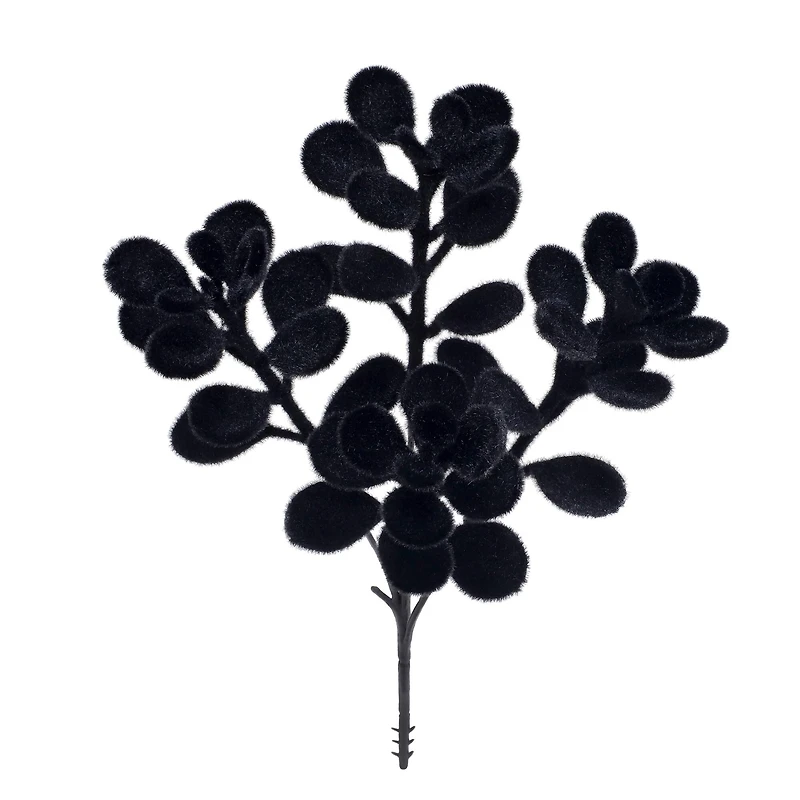 10" Black Boxwood Pick by Ashland®