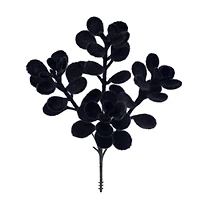 10" Black Boxwood Pick by Ashland®