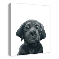 Black Lab Puppy 20" x 24" Canvas Wall Art