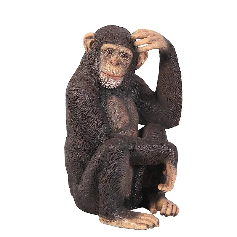 Design Toscano Chauncey the Confused Chimp Garden Monkey Statue