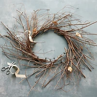 24" Wispy Grapevine Wreath by Ashland®