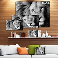 Designart - Lion Head in Grey