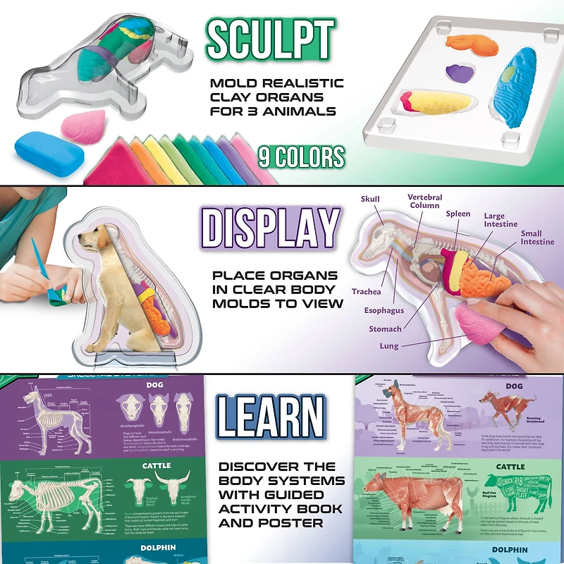 ArtSkills® Epic Lab Veterinary Science STEM Kit