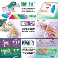 ArtSkills® Epic Lab Veterinary Science STEM Kit
