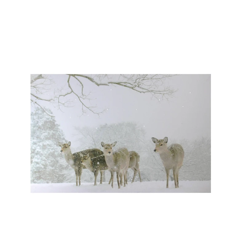 Winter Woods Deer Fiber Optic Lighted Canvas Wall Art
