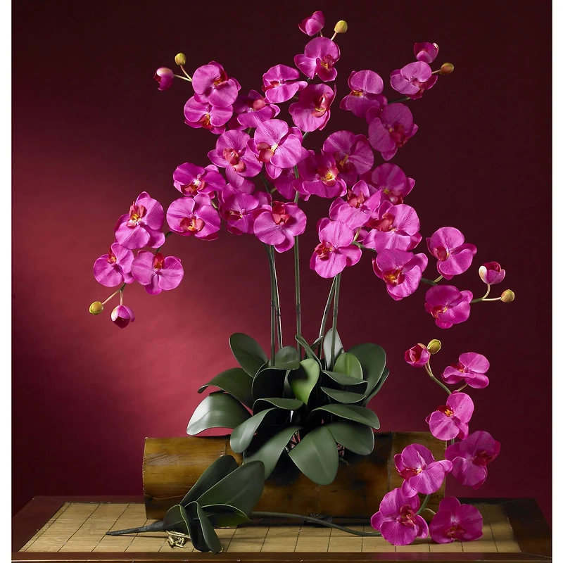Beauty Pink Moth Orchid Stem, 6ct.