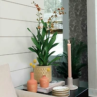 Hello Honey® Gold Stoneware Pots with Geometric Pattern Set