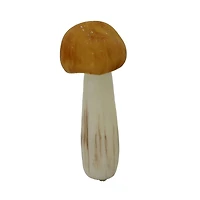 Yellow, Red & Brown Decorative Mushroom Mix, 6ct. by Ashland®