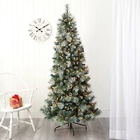 7ft. Pre-Lit Frosted Tip British Columbia Mountain Pine & Pinecones Artificial Christmas Tree with Clear Lights