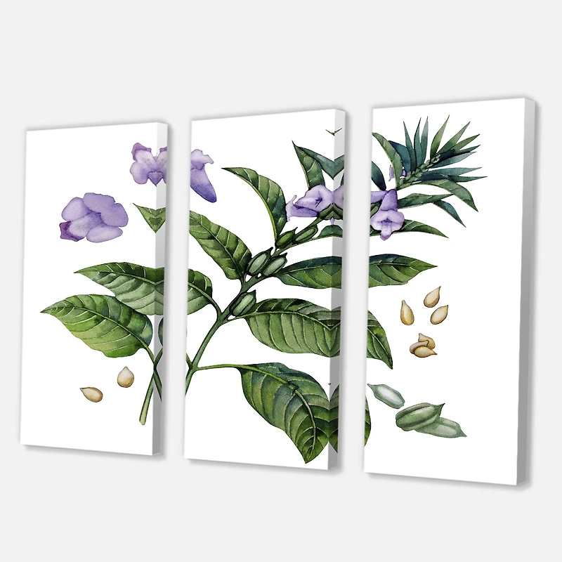 Designart - Purple Sesame Flowers WIth Green Leaves