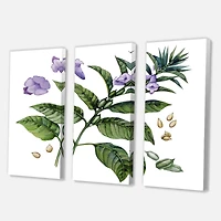 Designart - Purple Sesame Flowers WIth Green Leaves