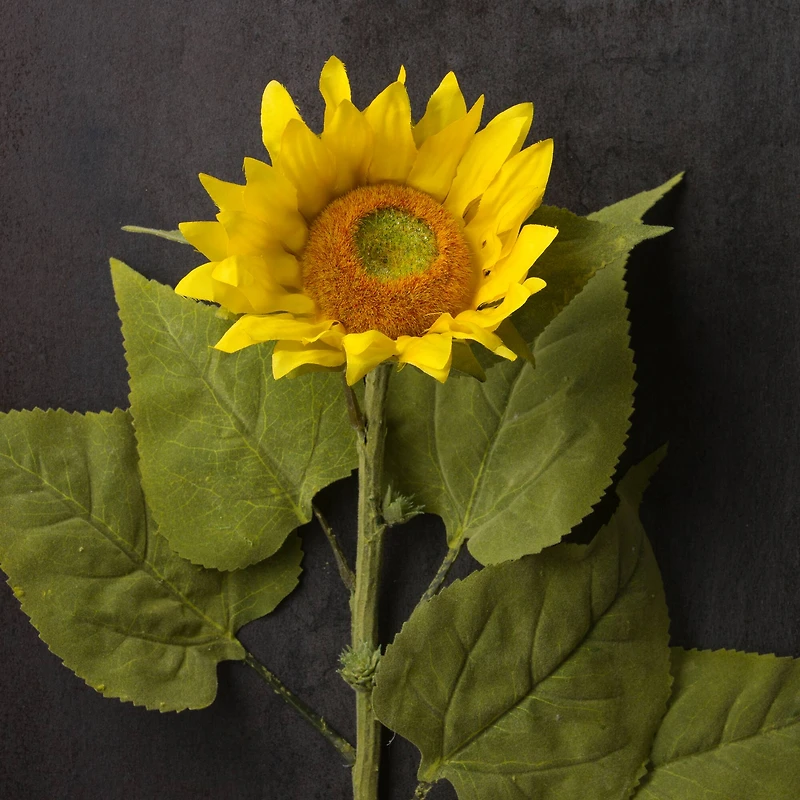 6 Pack: Yellow Sunflower Stem by Ashland®