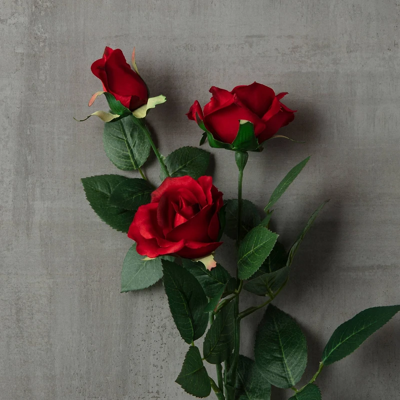 Sweetheart Rose Spray by Ashland