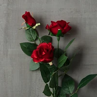 Sweetheart Rose Spray by Ashland