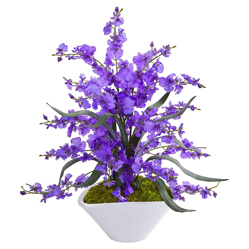 21" Dancing Lady Orchid Arrangement in White Vase