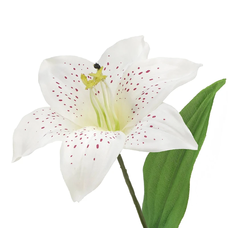 21" Cream Lily Bush by Ashland®