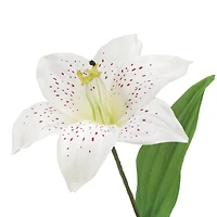 21" Cream Lily Bush by Ashland®