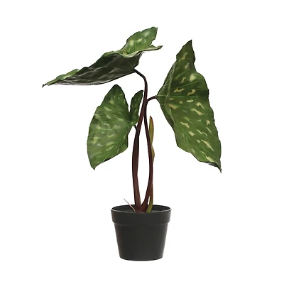 Hello Honey® 24" Potted Round Faux Elephant Ear Plant