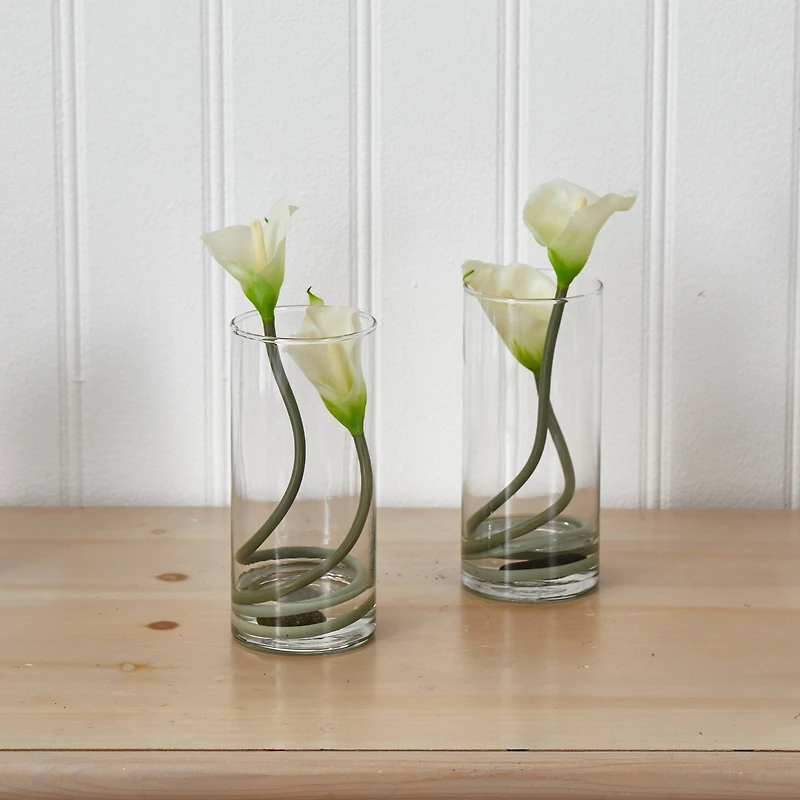 10.5" White Double Calla Lily with Cylinder Vase, 2ct.