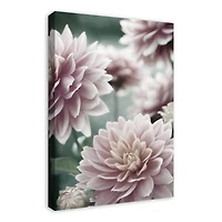 Lilac Dahlias 20" x 30" Canvas Wall Art