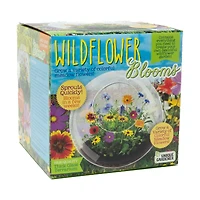 Glass Terrarium - Wildflower Blooms