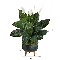 4ft. Peace Lily Plant in Black Planter with Stand