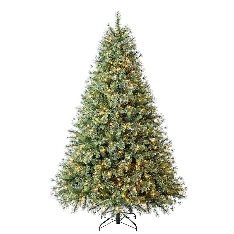 7.5ft. Pre-Lit Jackson Spruce Artificial Christmas Tree, Warm White LED Lights by Ashland®