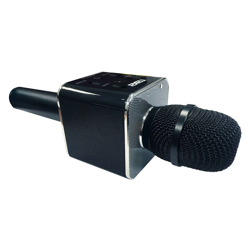 Naxa Electronics NKM-103 Handheld Karaoke Speaker