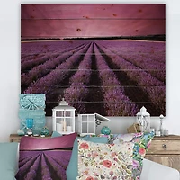 Designart - Sunrise & Dramatic Clouds Over Lavender Field XI